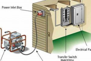 Understanding Portable Generator Transfer Switches Best Portable Generators: Power Anytime, Anywhere Understanding Portable Generator Transfer Switches | Best Portable Generators: Power Anytime, Anywhere