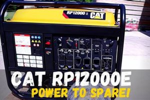 Top Cat Portable Generator Reviews & Comparisons Best Portable Generators: Power Anytime, Anywhere Top Cat Portable Generator Reviews & Comparisons | Best Portable Generators: Power Anytime, Anywhere