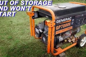 Fix: Generac Portable Generator Won't Start Guide Best Portable Generators: Power Anytime, Anywhere Fix: Generac Portable Generator Won't Start Guide | Best Portable Generators: Power Anytime, Anywhere