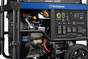 Top Gas for Portable Generators: Fuel Guide | Best Portable Generators: Power Anytime, Anywhere