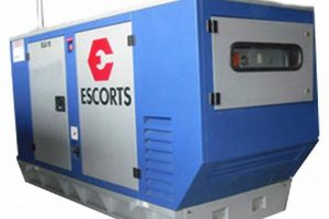 Top Portable Diesel Generator Manufacturers & Suppliers Best Portable Generators: Power Anytime, Anywhere Top Portable Diesel Generator Manufacturers & Suppliers | Best Portable Generators: Power Anytime, Anywhere