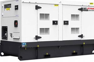 Best Portable Diesel Generators in the Philippines Best Portable Generators: Power Anytime, Anywhere Best Portable Diesel Generators in the Philippines | Best Portable Generators: Power Anytime, Anywhere
