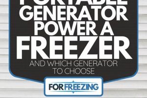 Best Portable Generators to Run a Freezer During Outages | Best Portable Generators: Power Anytime, Anywhere