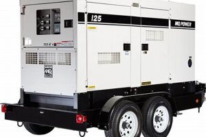 Best Portable Diesel Generator Sets: Buying Guide | Best Portable Generators: Power Anytime, Anywhere