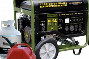 Portable Generators That Run On Propane | Best Portable Generators: Power Anytime, Anywhere