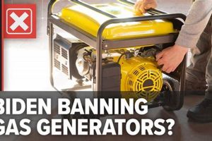 The Debate Over Banning Portable Generators: A Guide Best Portable Generators: Power Anytime, Anywhere The Debate Over Banning Portable Generators: A Guide | Best Portable Generators: Power Anytime, Anywhere