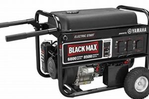 Best Black Max Portable Generators: Reviews & Guide Best Portable Generators: Power Anytime, Anywhere Best Black Max Portable Generators: Reviews & Guide | Best Portable Generators: Power Anytime, Anywhere