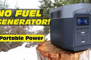 Best Non-Gasoline Portable Generators for 2024 Best Portable Generators: Power Anytime, Anywhere Best Non-Gasoline Portable Generators for 2024 | Best Portable Generators: Power Anytime, Anywhere