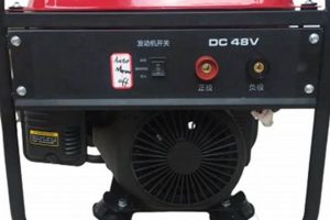 Best Portable 48V DC Generators for 2024 Best Portable Generators: Power Anytime, Anywhere Best Portable 48V DC Generators for 2024 | Best Portable Generators: Power Anytime, Anywhere