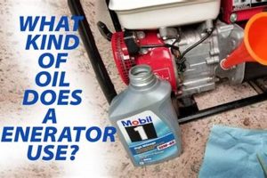 Best Oil for Portable Generators: Types & Specs Best Portable Generators: Power Anytime, Anywhere Best Oil for Portable Generators: Types & Specs | Best Portable Generators: Power Anytime, Anywhere