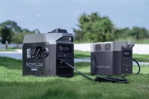 Best EcoFlow Delta 2 Portable Power Generator Review Best Portable Generators: Power Anytime, Anywhere Best EcoFlow Delta 2 Portable Power Generator Review | Best Portable Generators: Power Anytime, Anywhere