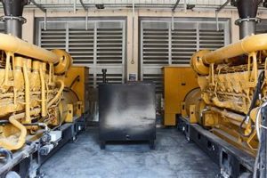 Best Portable Generators in Parallel for Home Use Best Portable Generators: Power Anytime, Anywhere Best Portable Generators in Parallel for Home Use | Best Portable Generators: Power Anytime, Anywhere