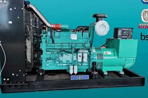 Best Water Cooled Generator Portable Options Best Portable Generators: Power Anytime, Anywhere Best Water Cooled Generator Portable Options | Best Portable Generators: Power Anytime, Anywhere