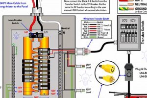 Safe Portable Generator Installation Guide & Tips Best Portable Generators: Power Anytime, Anywhere Safe Portable Generator Installation Guide & Tips | Best Portable Generators: Power Anytime, Anywhere
