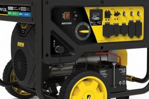 Best Triple Fuel Portable Generators for 2024 Best Portable Generators: Power Anytime, Anywhere Best Triple Fuel Portable Generators for 2024 | Best Portable Generators: Power Anytime, Anywhere