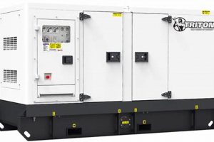Top-Rated Triton Portable Generators for 2024 Best Portable Generators: Power Anytime, Anywhere Top-Rated Triton Portable Generators for 2024 | Best Portable Generators: Power Anytime, Anywhere