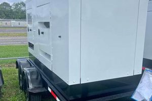 Best Portable Generators in Tampa, Florida Best Portable Generators: Power Anytime, Anywhere Best Portable Generators in Tampa, Florida | Best Portable Generators: Power Anytime, Anywhere