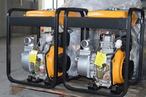 Best Portable Generator Water Pumps & Reviews Best Portable Generators: Power Anytime, Anywhere Best Portable Generator Water Pumps & Reviews | Best Portable Generators: Power Anytime, Anywhere