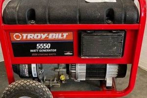 Troy-Bilt 01919: Portable Generator Review Best Portable Generators: Power Anytime, Anywhere Troy-Bilt 01919: Portable Generator Review | Best Portable Generators: Power Anytime, Anywhere