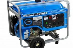 Best Portable Generator Rental Services Best Portable Generators: Power Anytime, Anywhere Best Portable Generator Rental Services | Best Portable Generators: Power Anytime, Anywhere