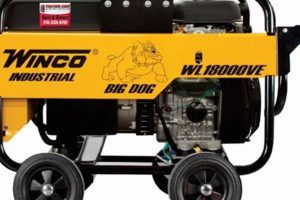 Top Winco Portable Generators: 2024 Guide | Best Portable Generators: Power Anytime, Anywhere