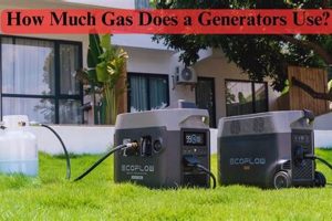 Portable Generator Gas Usage: How Much Do They Use? Best Portable Generators: Power Anytime, Anywhere Portable Generator Gas Usage: How Much Do They Use? | Best Portable Generators: Power Anytime, Anywhere