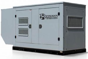 Top Biggest Portable Natural Gas Generators for 2024 Best Portable Generators: Power Anytime, Anywhere Top Biggest Portable Natural Gas Generators for 2024 | Best Portable Generators: Power Anytime, Anywhere