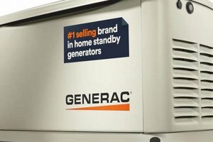 Best 10kW Natural Gas Portable Generators for 2024 | Best Portable Generators: Power Anytime, Anywhere