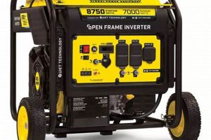 Champion 7000/8750W Portable Gas Generator Review | Best Portable Generators: Power Anytime, Anywhere